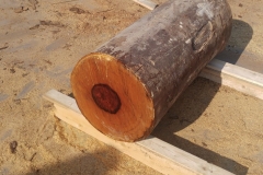 Schermata-2020-04-27-alle-22.46.45-min