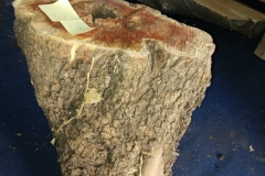 Schermata-2020-04-27-alle-22.46.56-min