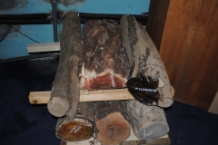 Schermata-2020-04-27-alle-22.47.43-min