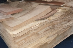 Schermata-2020-04-27-alle-22.50.50-min